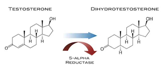 Kako se rezultati trihotesta primenjuju u terapiji?