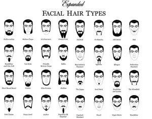 Hipsteri i njihova brada-nekad i transplantirana…